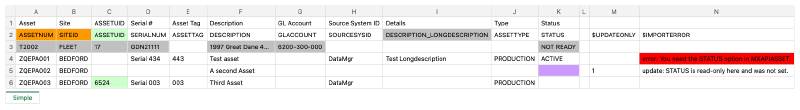 A result workbook: the error row in red, a read-only value in lavender, and the id Manage gave a new asset in green